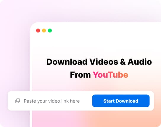 2. Paste the Link